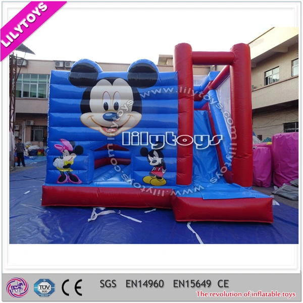 Popular Amusing Castle Inflate Combo, Inflatable Castle, Bounce Castle