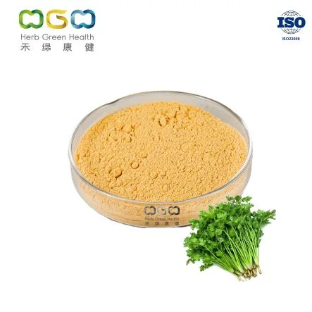 Pure Natural Factory Supply Chinese Parsley Powder Cilantro Seed Powder Para tempero