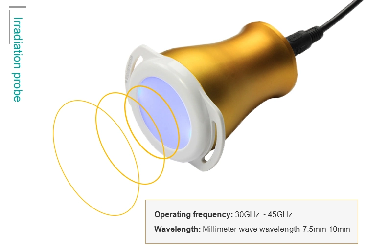 Millimeter Wave Diabetic Disease and Diabetes Therapy Instrument