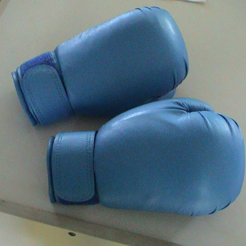 Exercise or Training Type Boxing Gloves