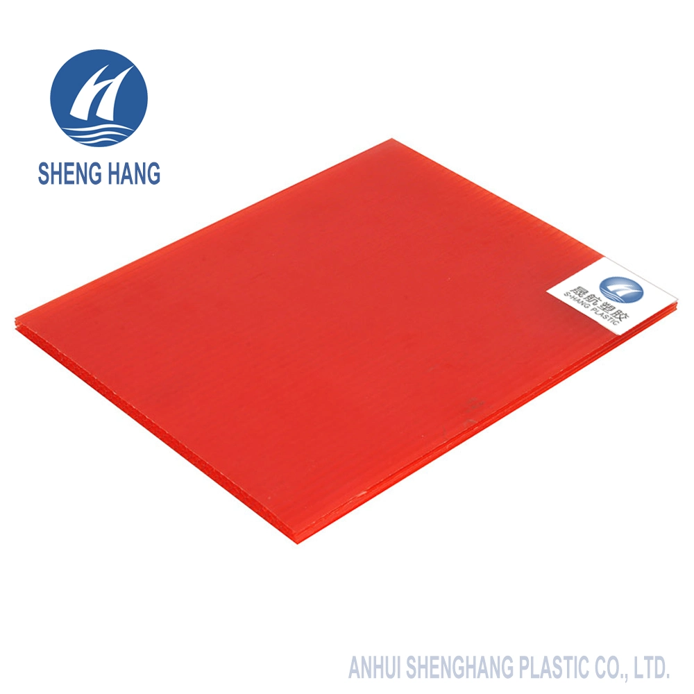 Decorative Plastic Polycarbonate Hollow Panel with SGS Certificate