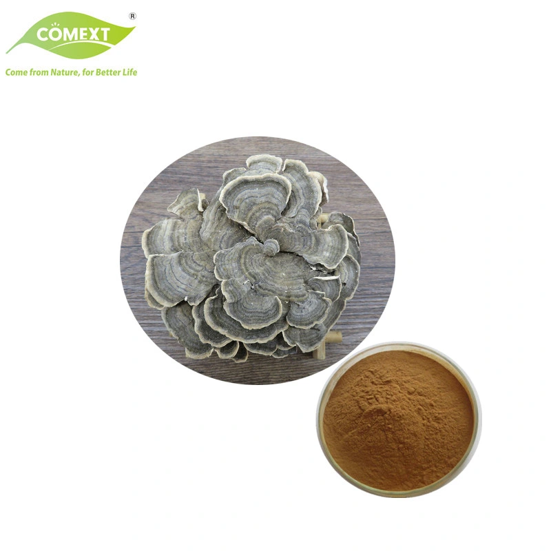 Comext High Quality Mushroom Extract Trametes Versicolor Mushroom Powder Turkey Tail Mushroom Extract