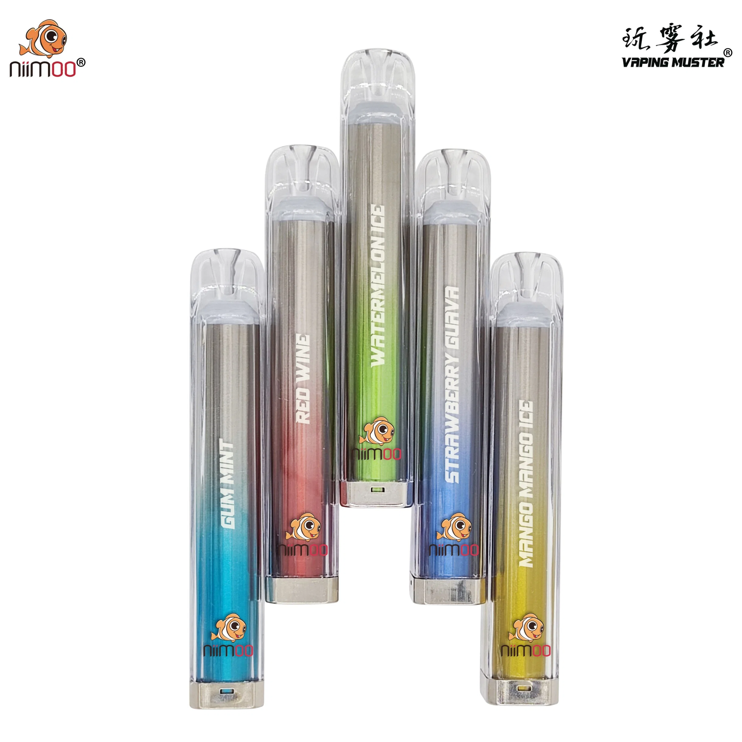 Niimoo Wholesale/Supplier Electronic Cigarette Vaporizer with 1000 Puffs Mesh Coil Crystal Disposable/Chargeable Vape