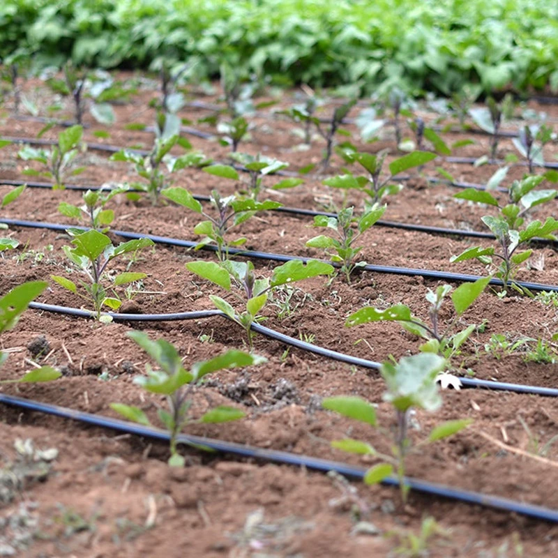 Amazon Bewässerungssystem Tropfband für Gartenbau