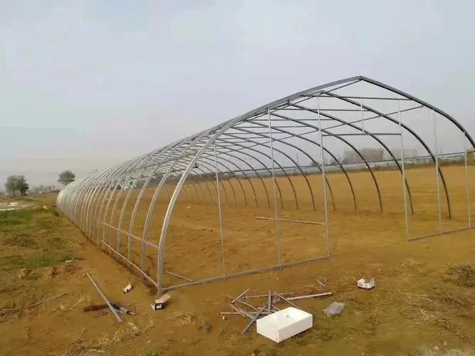 Landwirtschaftliche / kommerzielle Single Span / Günstige Tunnel / Gothic Kunststoff-Film hydroponic einfach und einfach Gewächshaus