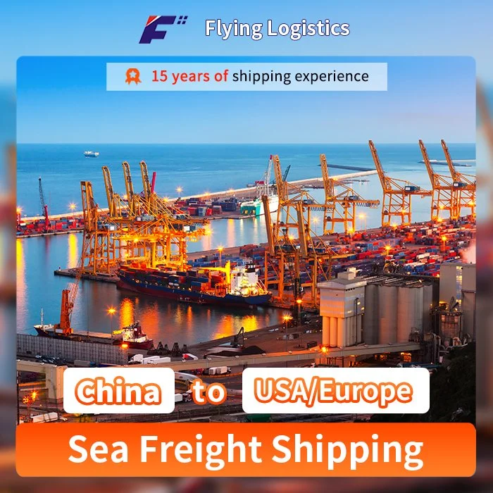 Shipping Service From China to USA/Europe, Sea Freight to USA/Europe