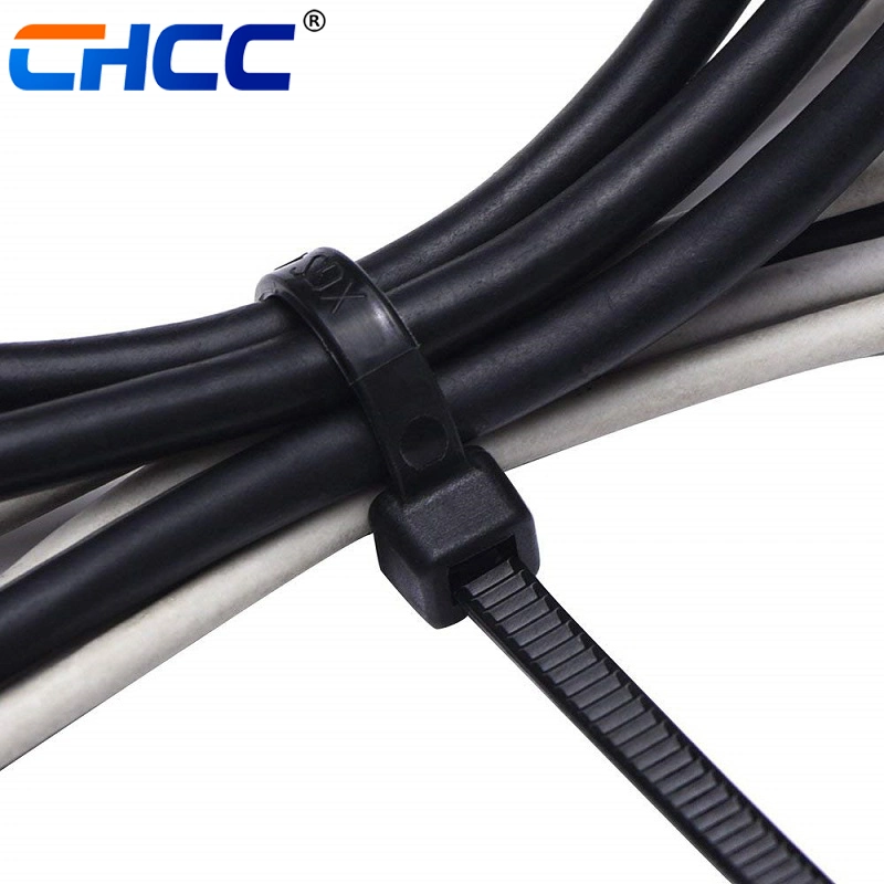 2.5*120 Ce Certified Nylon 66 Cable Zip Tie