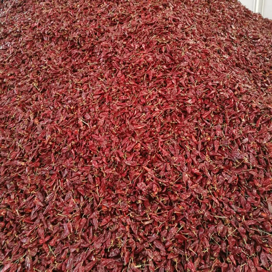 Factory Supply Good Quanlity Dried Yidu Chilli