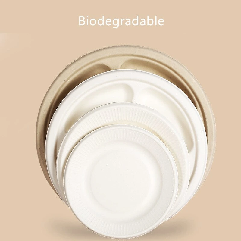 Biodegradable Paper Pulp Lunch Container Sugarcane Bagasse Food Container Disposable Tableware