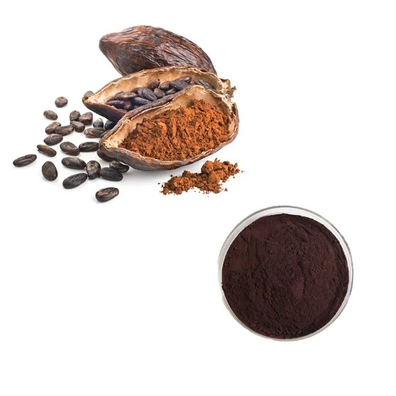 2023 Hot Selling Organic Pure Cocoa Extract 100% Theobromine Powder