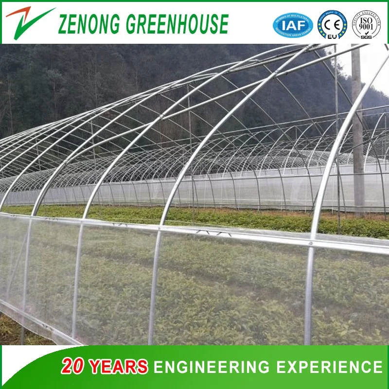 Modern Design Style Poly Single-Arch Film Greenhouse with Shading Screen/Ventilation Equipment