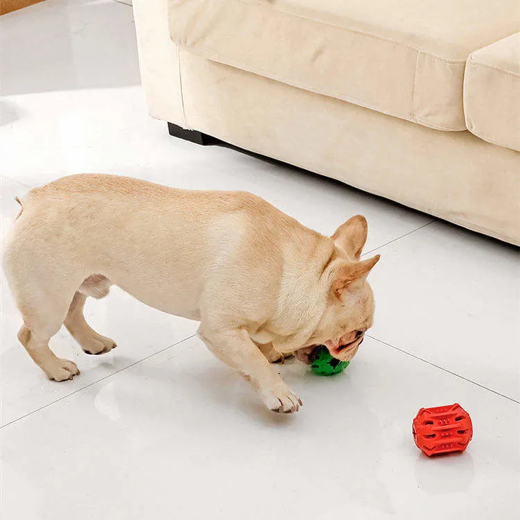 Pet Leaking Food Dog Chew Toy Rubber Anti-Bite Molar Pet Squeeze Toy for Dog