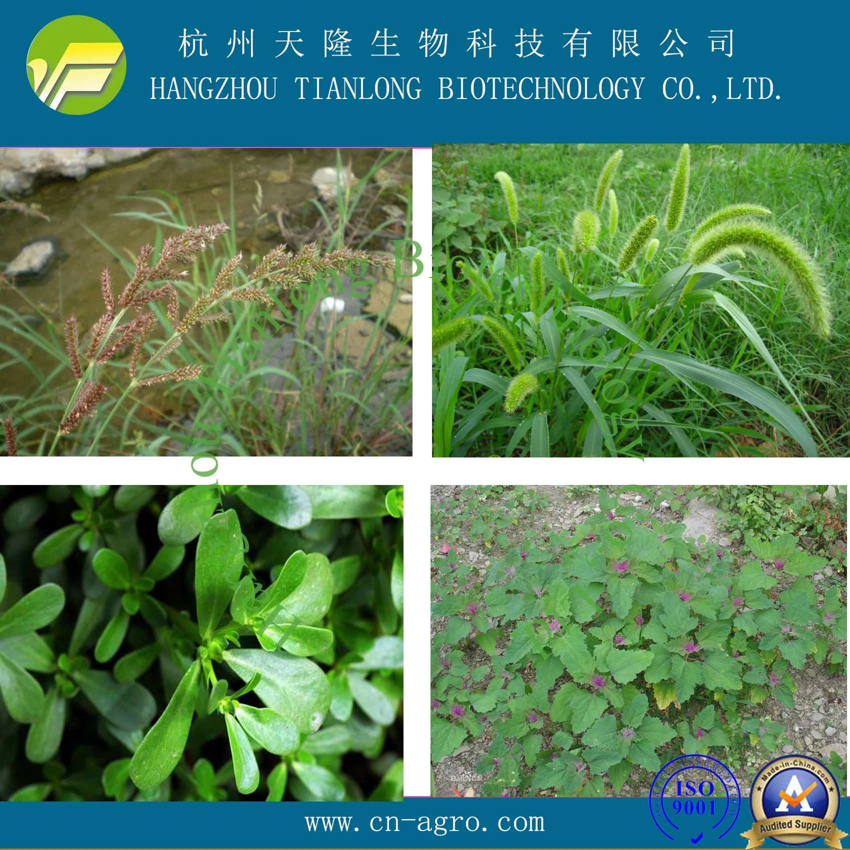 Plant Growth Regulator Chlormequat 80%SP