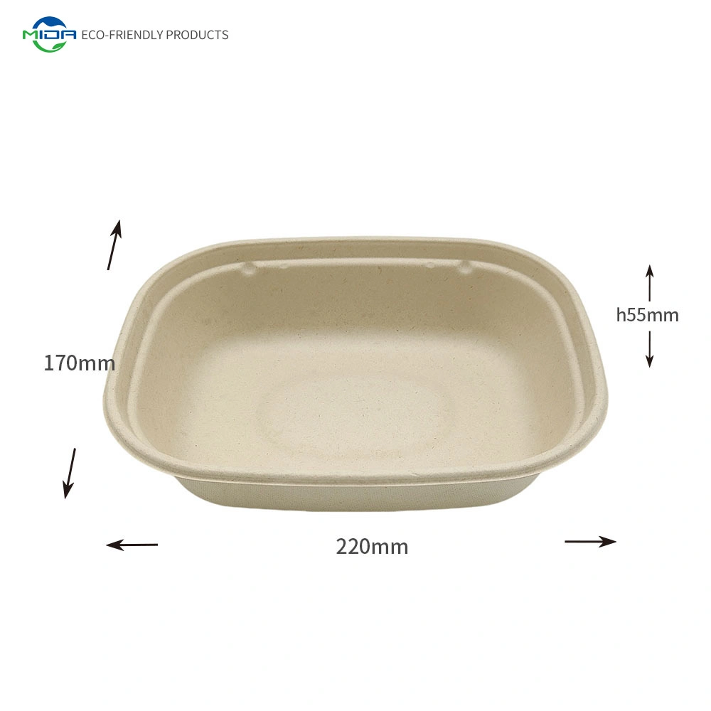 11000ml Einweg biologisch abbaubare Bagasse Take Away Food Container Zellstoffverpackung Lunchbox Burger Box Kompostierbares Einmal-Geschirr