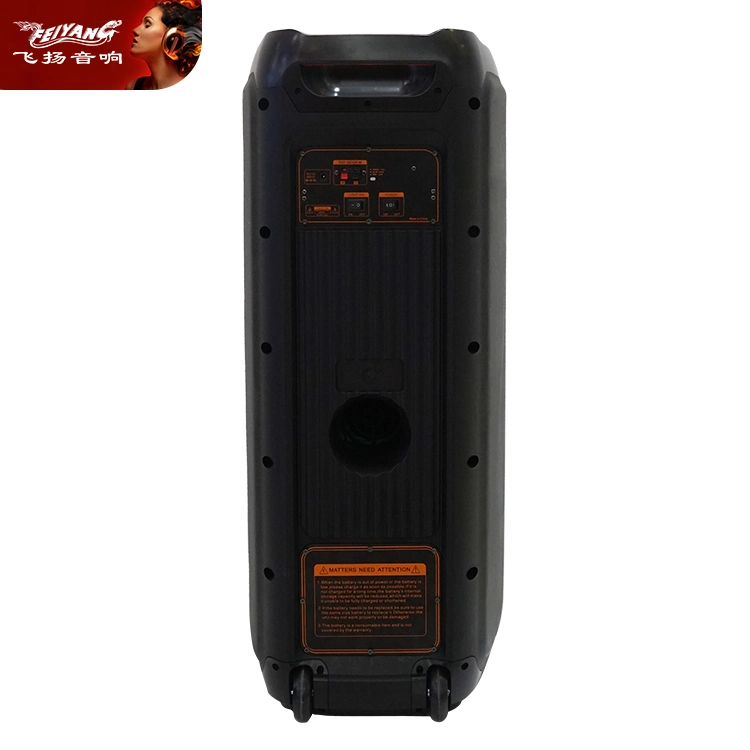 Professional Tws Double 10inch Big Power Recharged Bluetooth Loudspeaker