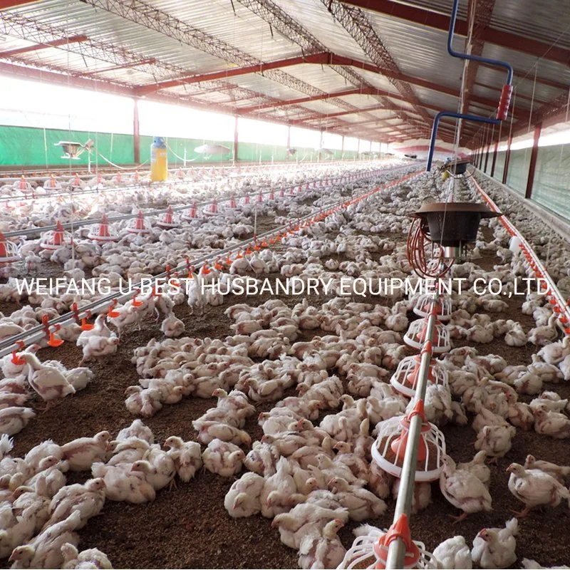 Hot Sale Plastic Chicken Feeder Poultry House Farming Equipment
