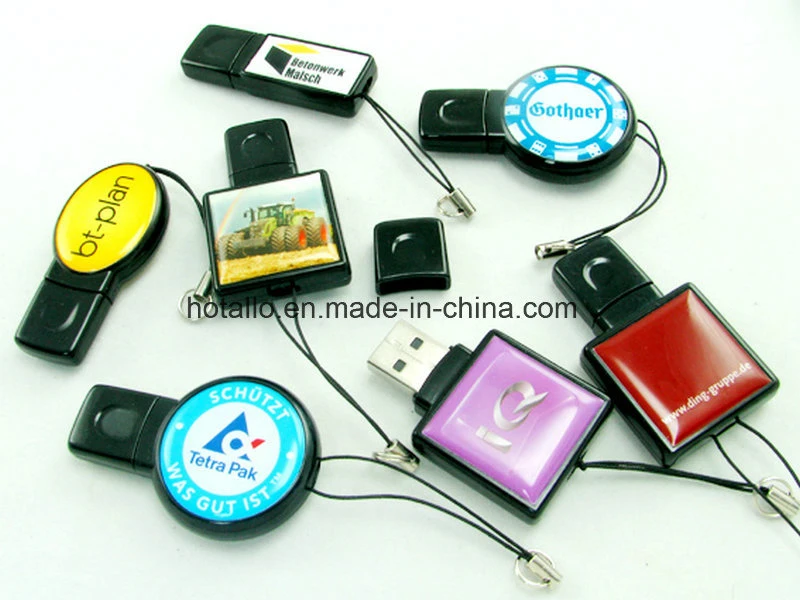 Paster Promotional USB Flash Drive USB Memory with Doming Logo