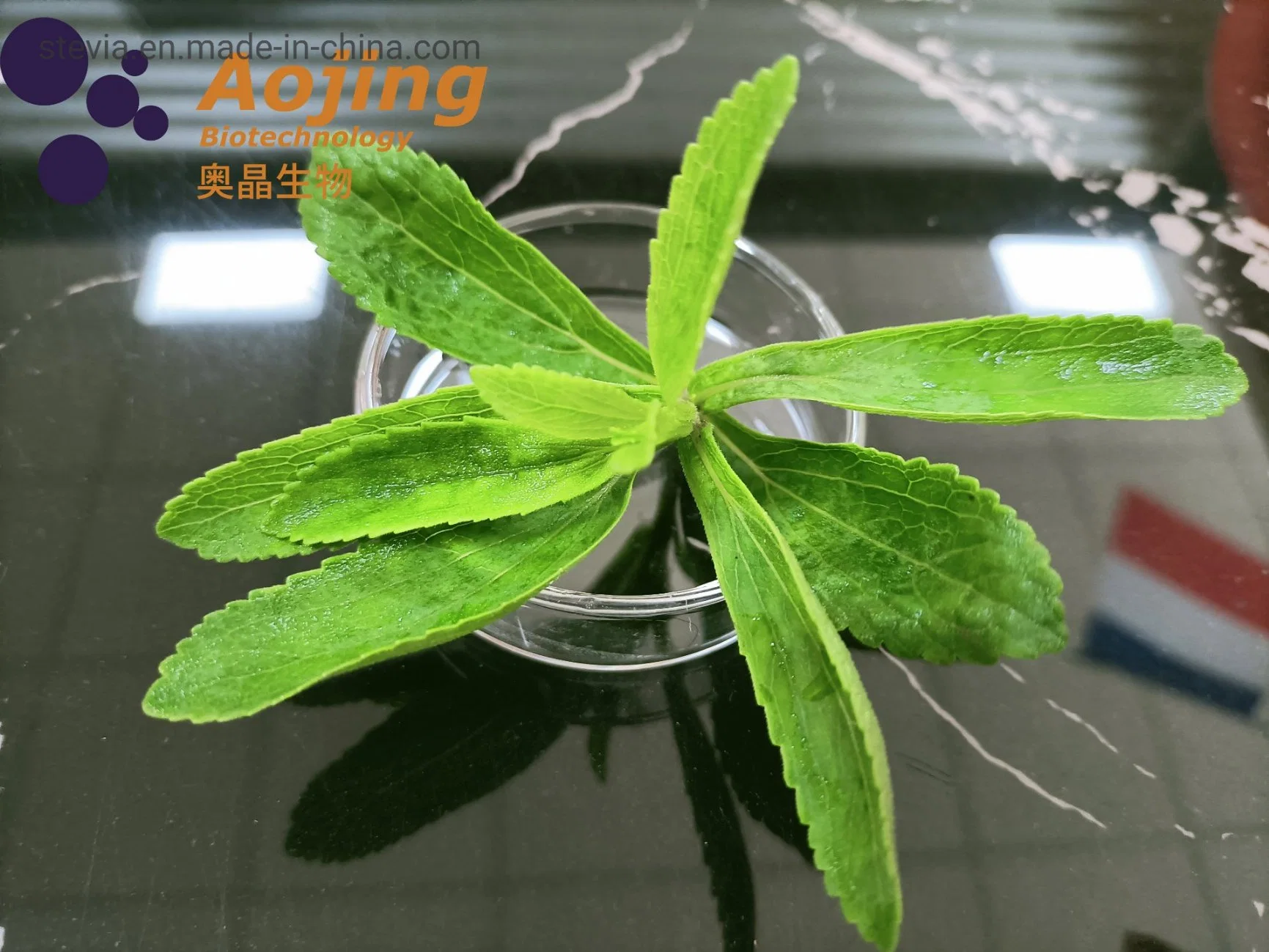 China Stevia Extract Aojing Bio Stevia Ra90%