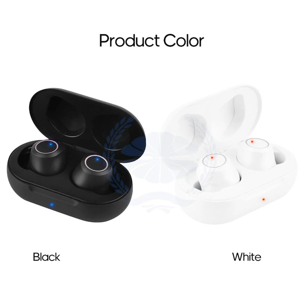 Wireless Bluetooth Hearing Aid Sound Amplifier Cic Rechargeable Box Earphone Hearing Aid for The Elderly