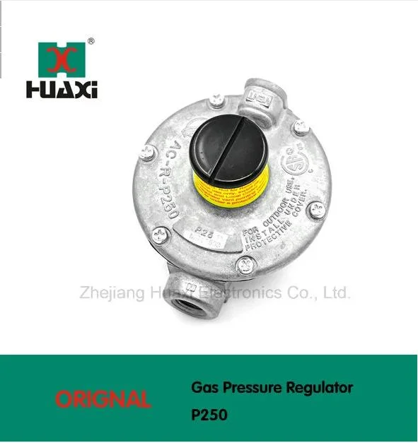 Industrial Stainless Diaphragm Gas Meter GB-2.5