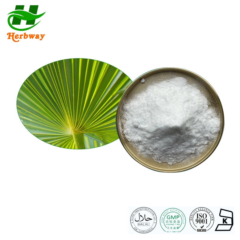 Herbway Factory Supply Saw Palmetto Extract Food Supplement 45%Fatty Acid CAS 84604-15-9