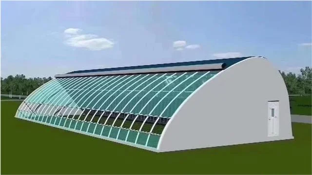 Agricultura moderna invernadero de tubo oval personalizado con sistema hidropónico riego Sistema de Verduras Frutas Flores Tomato Tomato