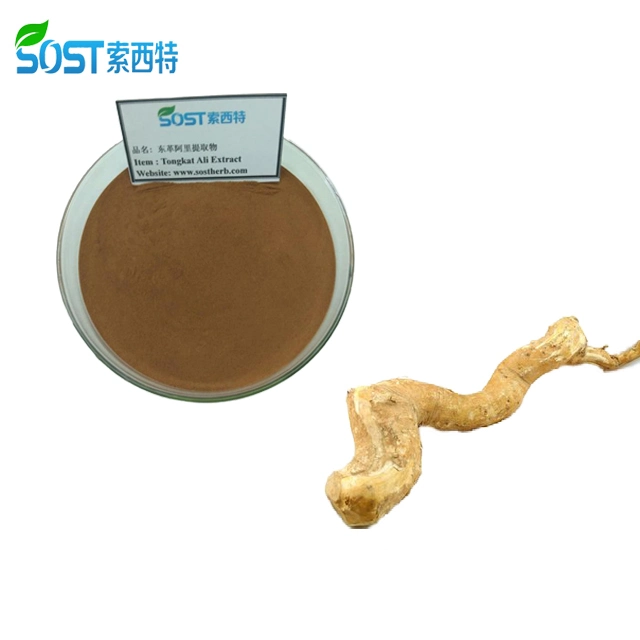 Best Selling EU Organic Powder Tongkat Ali Extract 200:1 from Malaysia