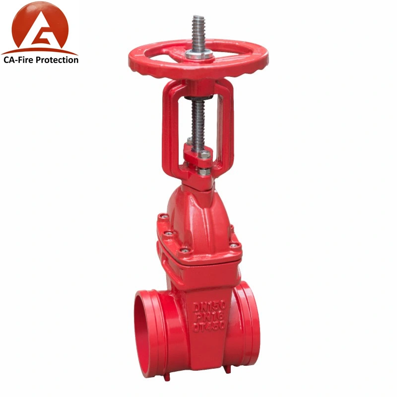 Cast Iron Resilient Seat DN150 6 Inch Gate Valve with Prices