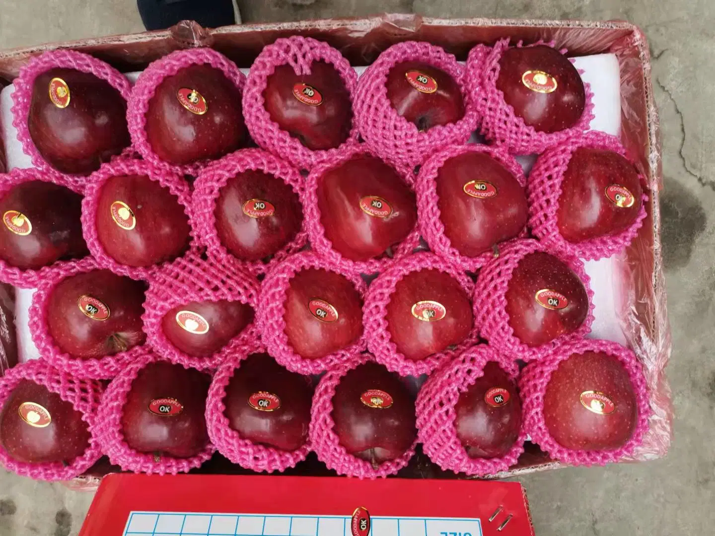 2021 Crop Big Red Huaniu Apple com Word