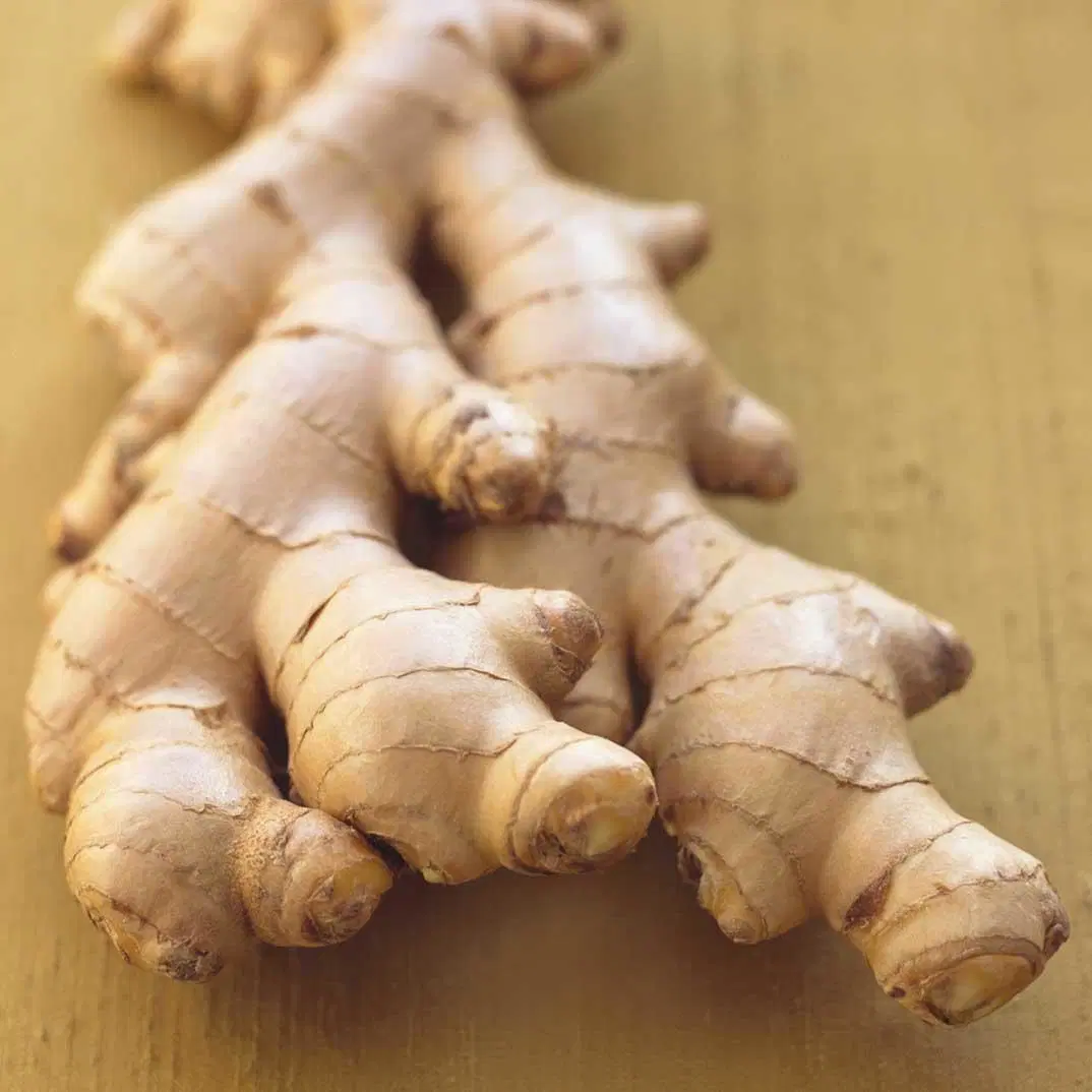 Super Quality Chinese Fresh Ginger to Canada Market