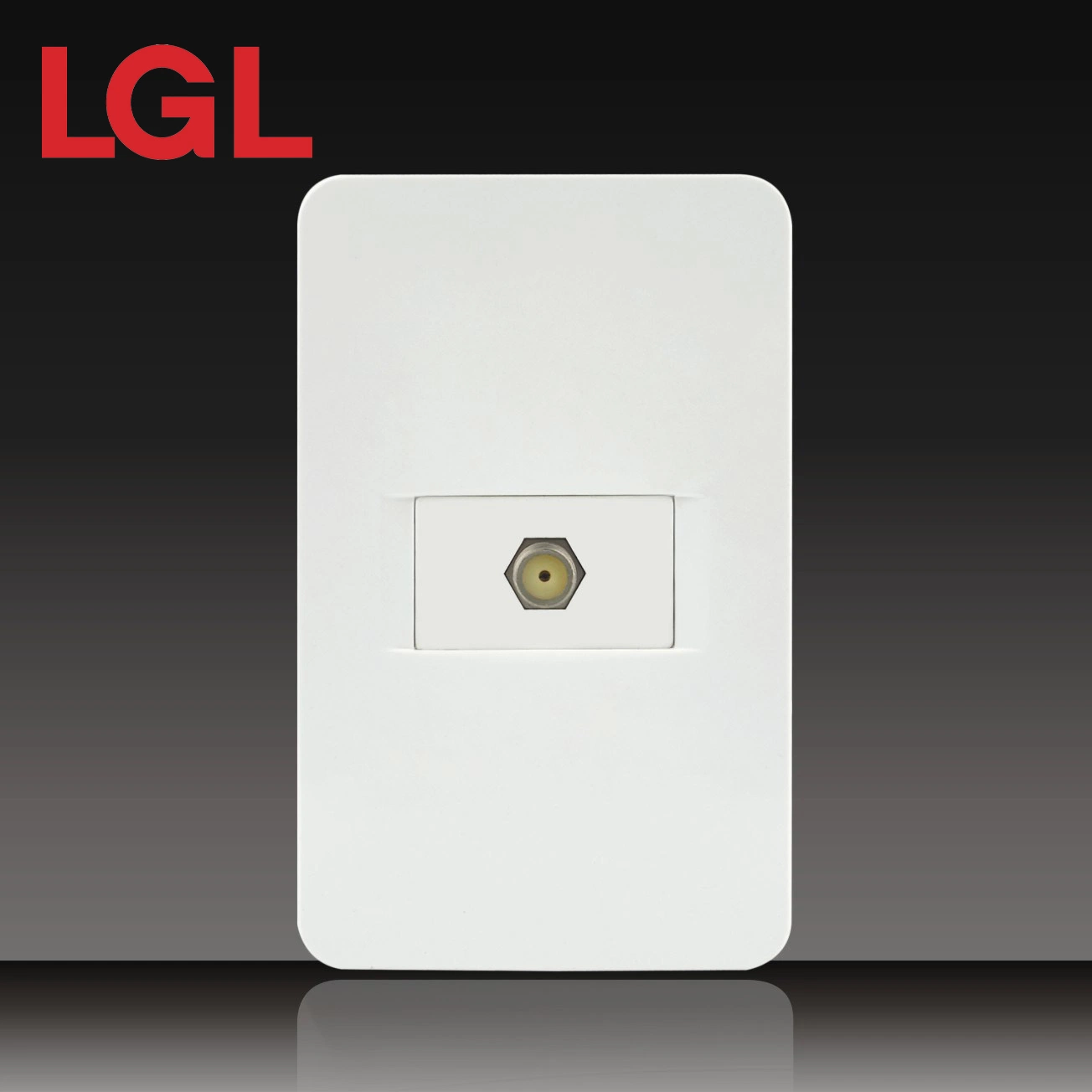 High quality/High cost performance  PC Material 2 Gang Rj11 Telephone Socket (LGL-11-29)