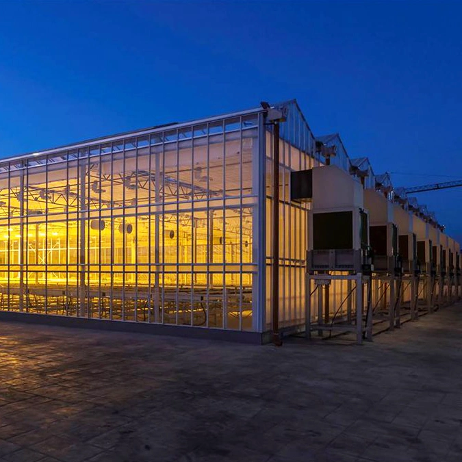 2023 China High Performance Venlo Glass Greenhouse for Modern Agriculture