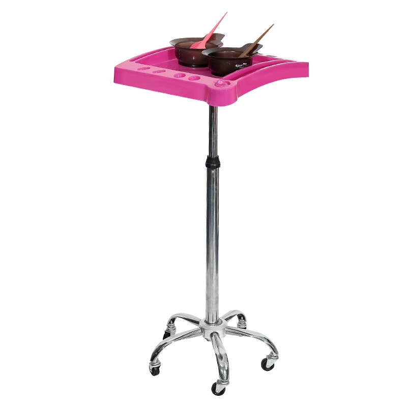 Beauty Salon Hair Dye Tool Cart with 5 Wheels Hair Extension Trolley