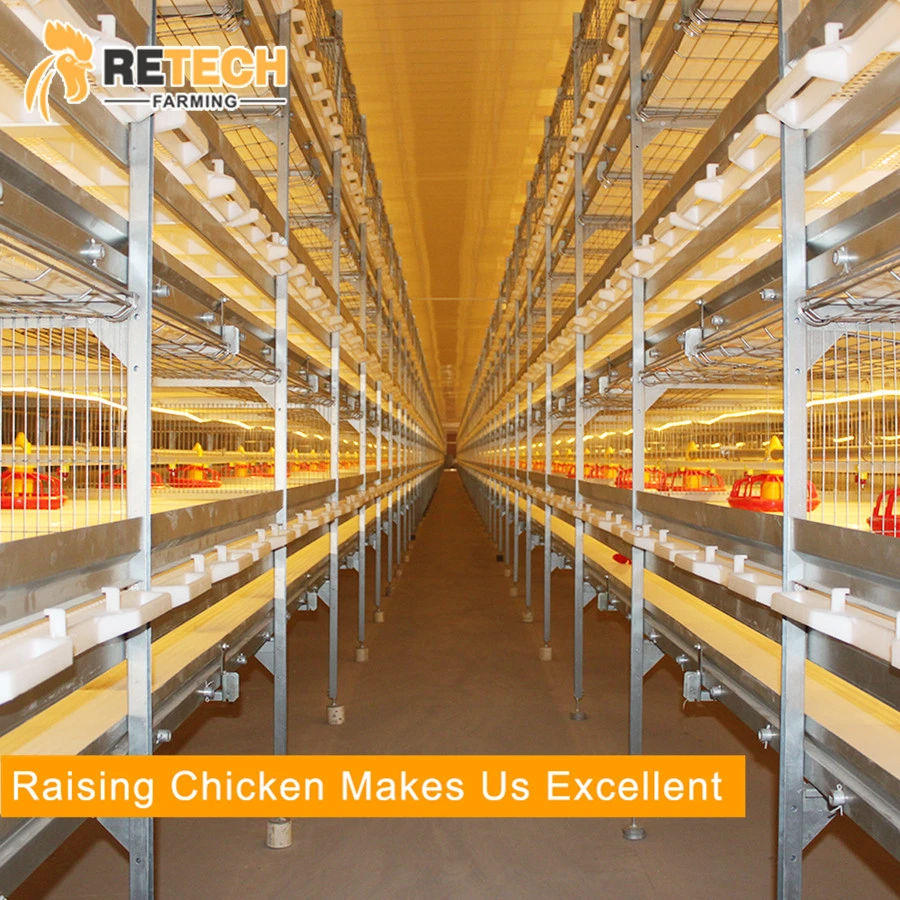 Automatic Poultry Farm Equipment Broiler Chicken Battery Cage for Sale