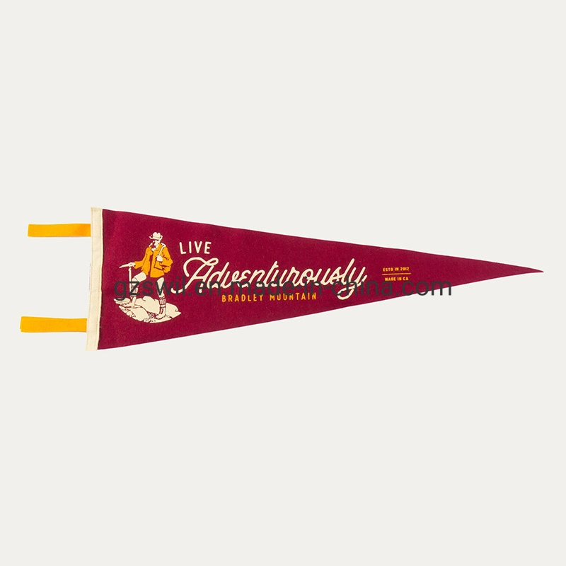 College Banner Custom Color Printing Felt Pennant Flags