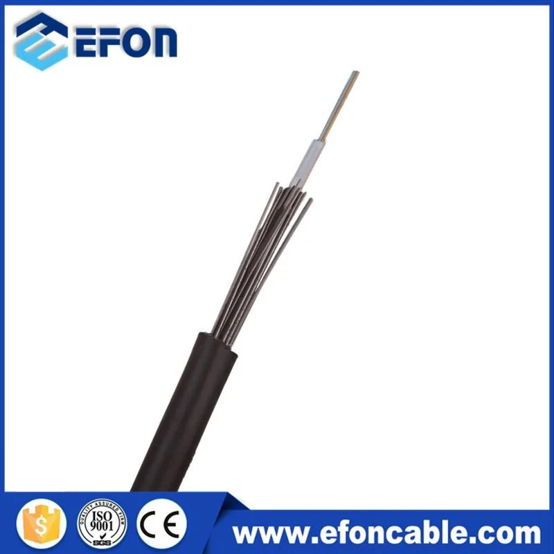 Efon Outdoor Steel Wire Armor 2-24 Core Central Loose Tube Cable Fiber Optical Factory Price