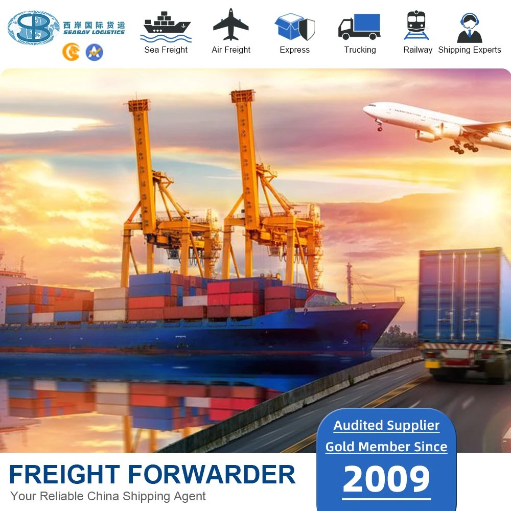 China Reliable Sea Freight to Genova or Italy Fast Delivery Shipping Agent