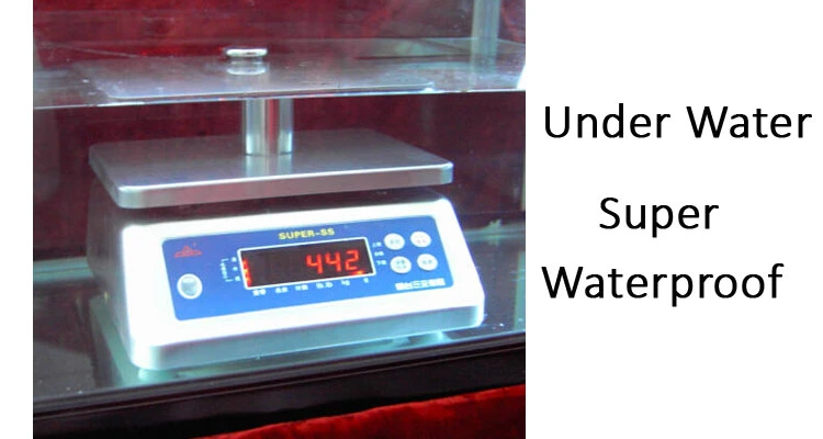 0.1g Waterproof Scale Stainless Portion Scale 15kg