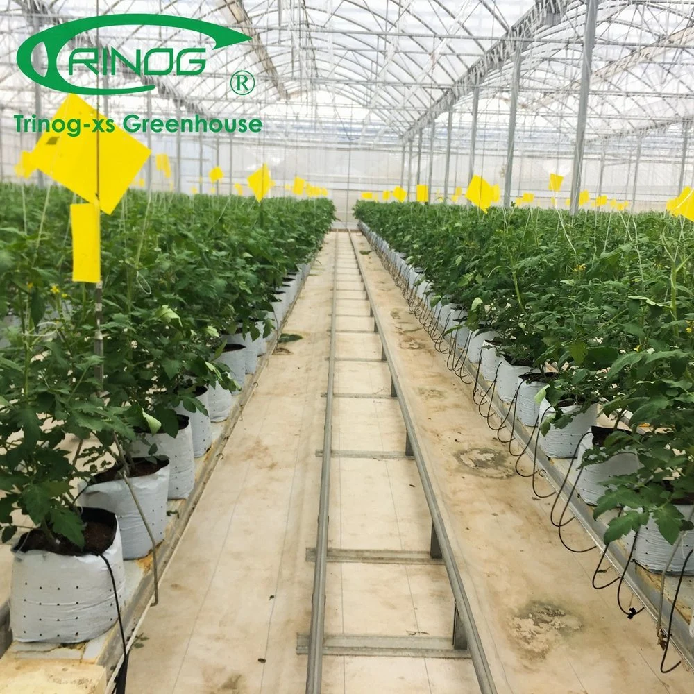 The Newest Multi-Span Galvanized Steel Pipe Structure Glass Greenhouse with Inner Shading System for Agriculture