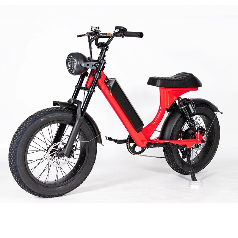 Leo adopte ce certifié vélo électrique avec pneus gras personnalisés Pour les hommes et les femmes