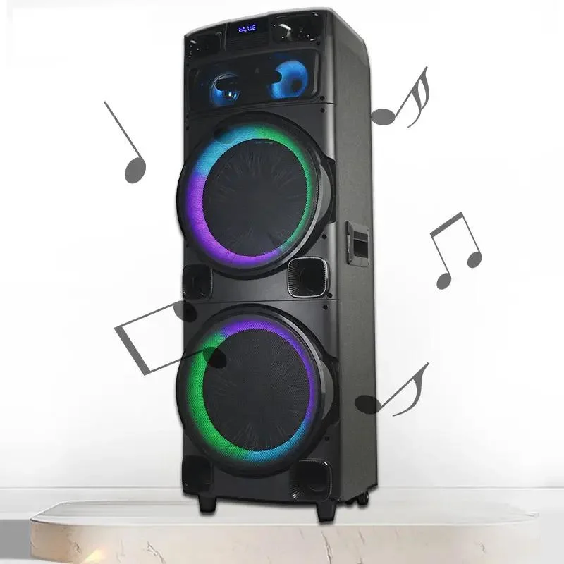 Temeisheng Wooden Super Power Dual 12 Inch Tweeter 100W RMS Large Audio Box Rechargeable Wireless Portable Speaker Bluetooth