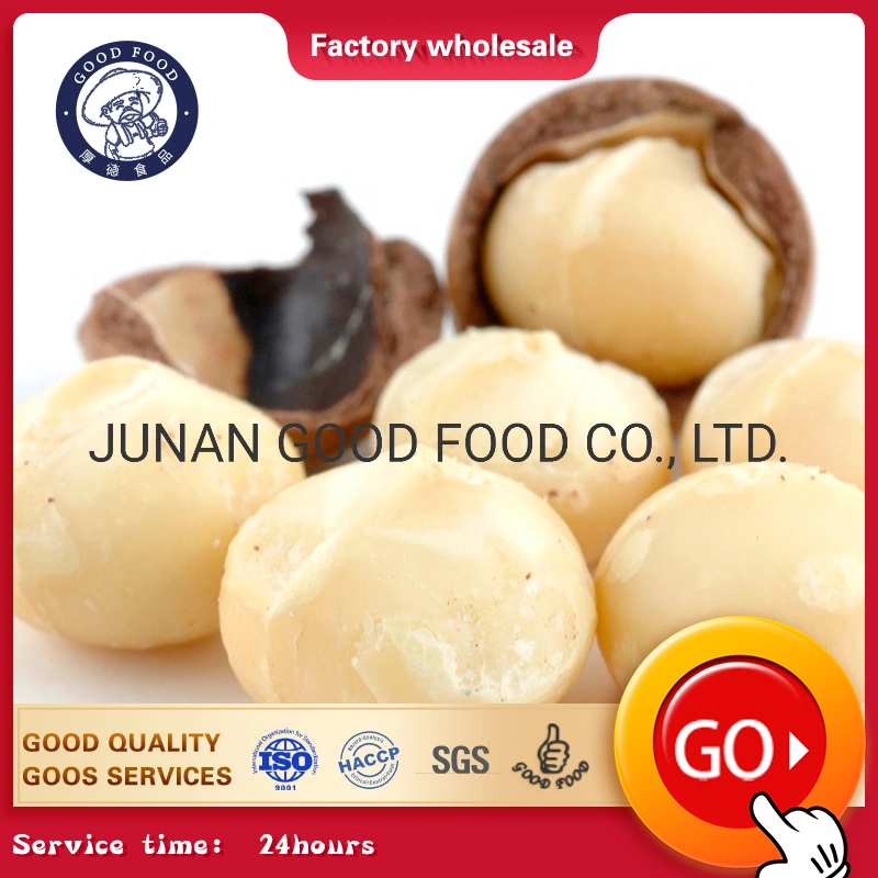 Best Grade a Quality Raw Macadamia Nuts