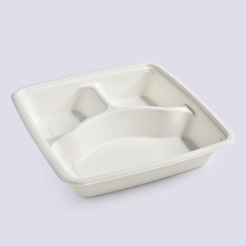 Eco-Friendly Disposable Bagasse Fast Food Container Microwave Lunch Box Multi-Grid Food Container