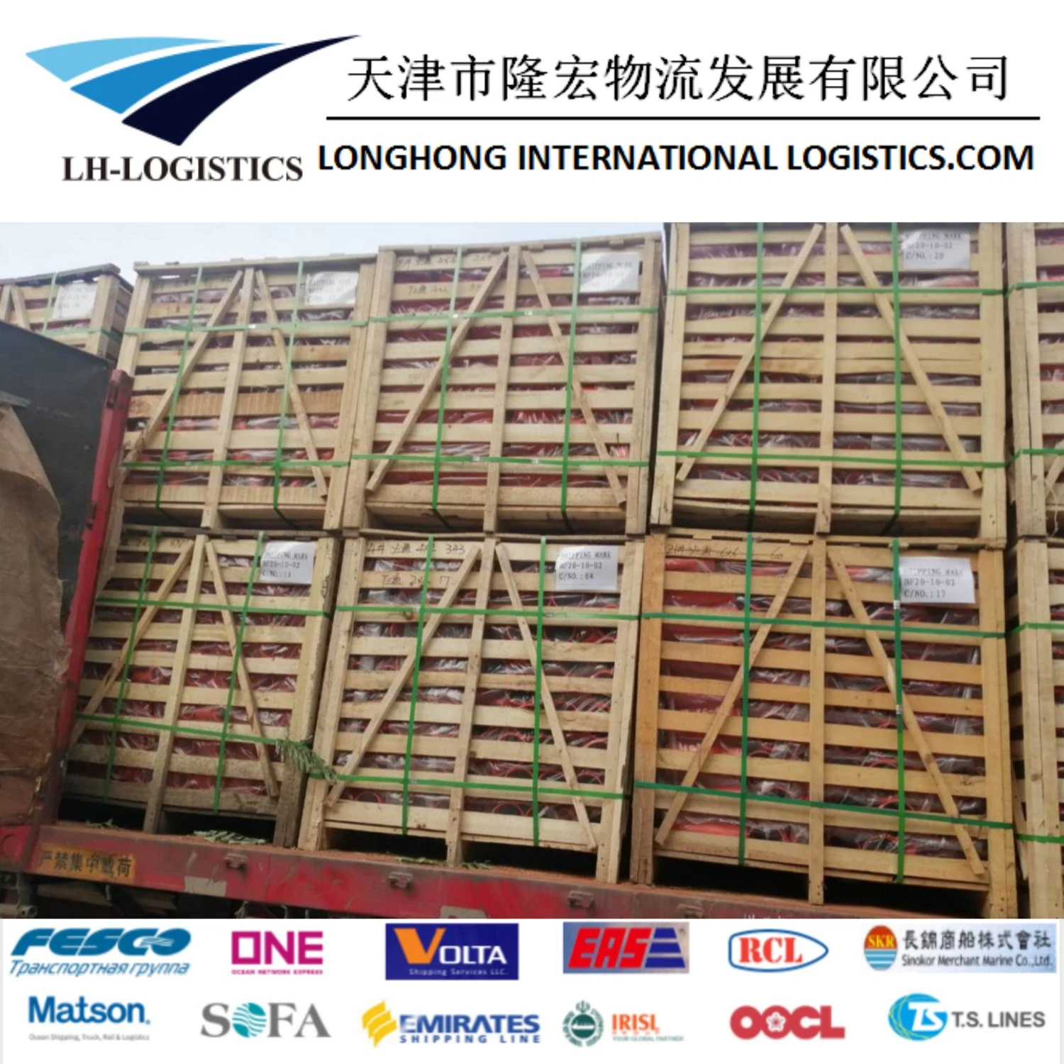 Reliable Shipping Service/ Logistics / Shipping Forwarder From China to Bombay, Nhava Sheva, Chennai