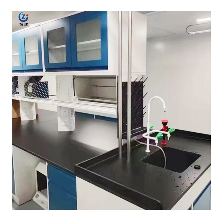 Escuela de Medicina Química Laboratorio de Muebles con fregadero