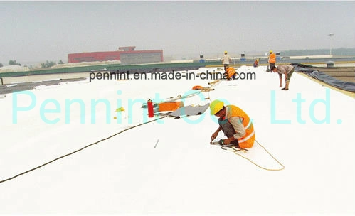 Tpo Waterproof Membrane Roofing Sheet with High quality/High cost performance 