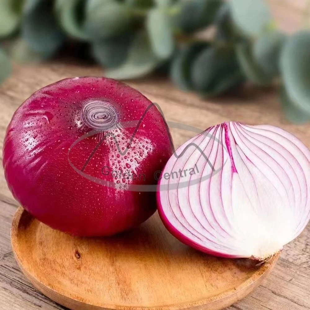 Cebola amarela Onion Vermelho fresco de melhor qualidade para Venda