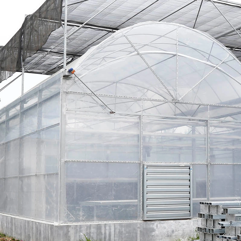 Multi-Span Film Tunnel Polyethylene Greenhouse Planting Soil