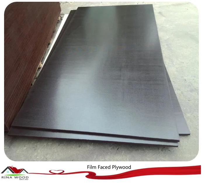 Black Film Poplar Core Marine Plywood to Dubai Market