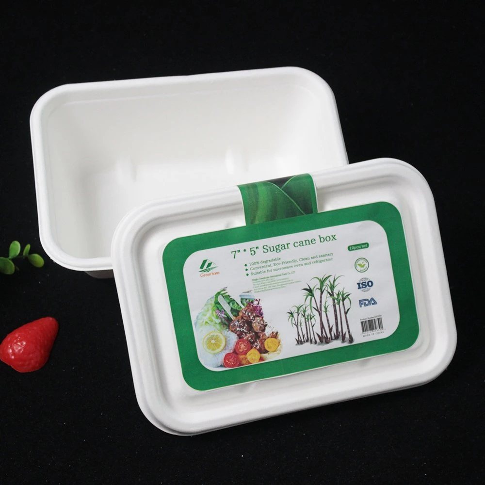 Custom Logo Printed 500ml 700ml 800ml 1000ml Paper Food Containers Biodegradable Sugar Cane Bagasse Lunch Box